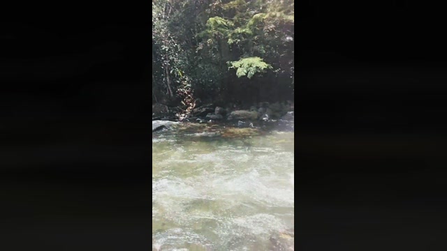 santiagosexo4  01-09-2022